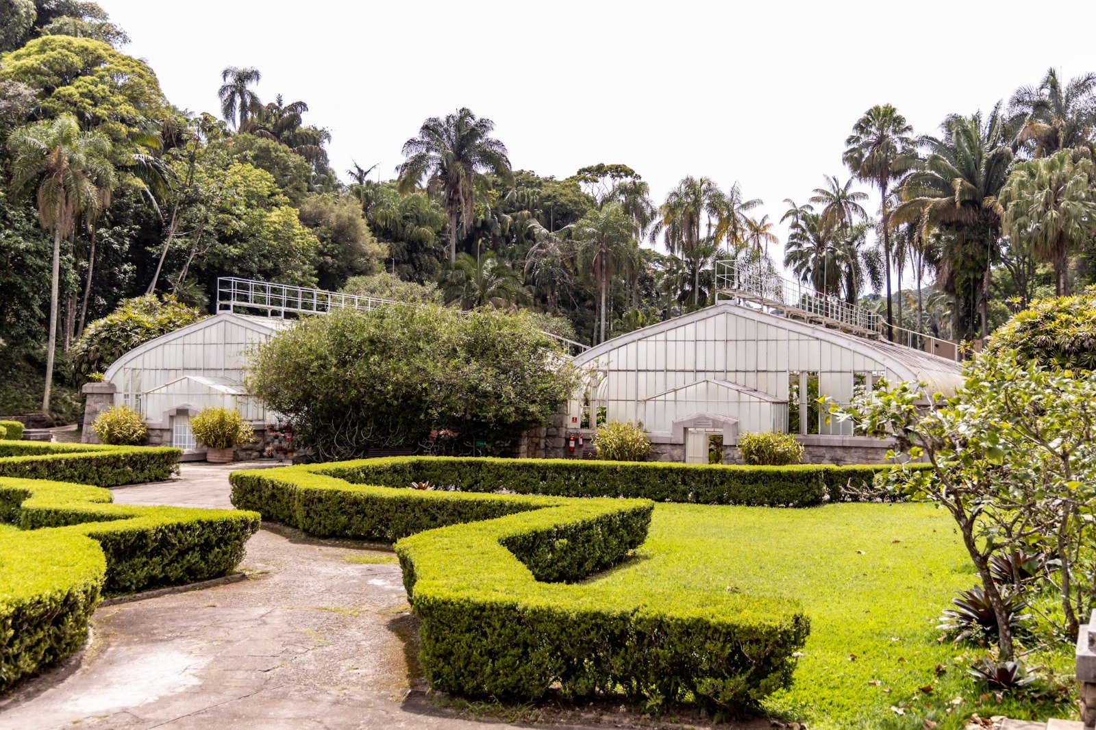 Estufas do Jardim Botânico de São Paulo